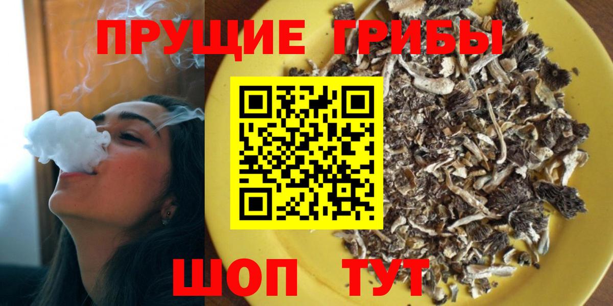 Галлюциногенные грибы Magic Shrooms Кинель