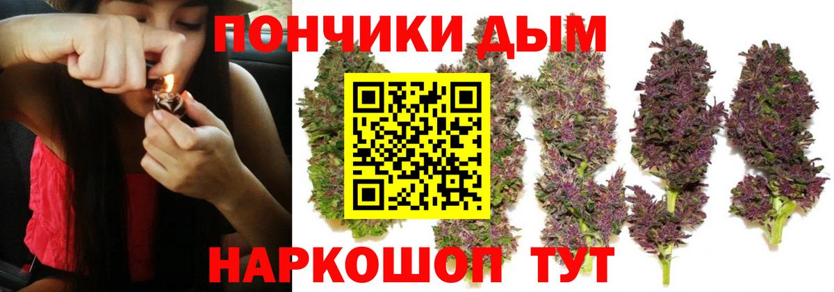Канабис SATIVA & INDICA Кинель